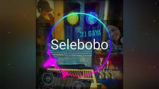 Selebobo -Tonyor Remix(DJ Gaya)