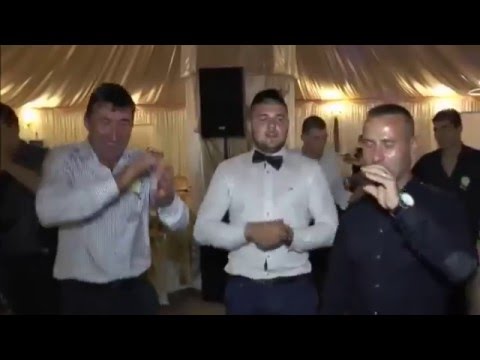 Formatia Sylex - 2015