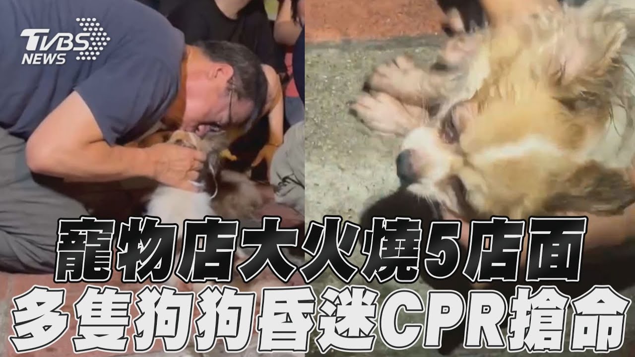 花蓮寵物店惡火！老闆口對口人工呼吸、民眾CPR搶救　遺憾1犬遭嗆死