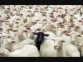 Sanctus Real - Forgiven (with lyrics)