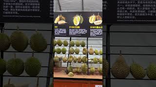 How many have you tried? 🇲🇾 #durian #durianmusangking #malaysia #travel #foodie