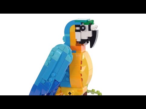LEGO® Creator 3-in-1 Egzotiška papūga (31136) video