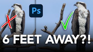 How to Add More Space in Photoshop