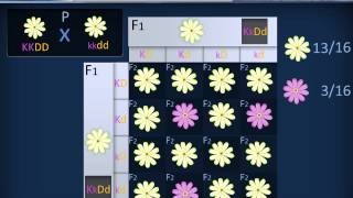 Biologia 18 - Genetica moderna e mutazioni