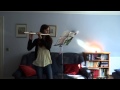 Wake Me Up When September Ends On Flute
