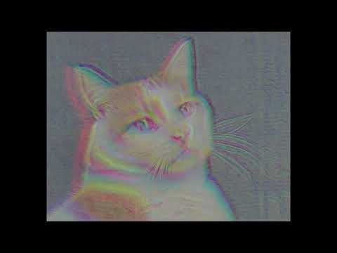 Angelo Pierattini y Diego Lorenzini- Carita de gato (Video oficial)