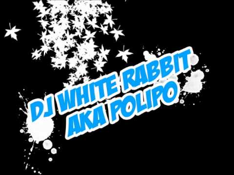 Polipo a.k.a. Dj White Rabbit - Wine & Chocolate (Dezember 2011 Podcast)