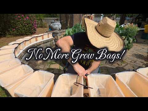 From Grow Bags to a 17 Bucket Hydroponic System 💧 Full Build