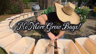 From Grow Bags to a 17 Bucket Hydroponic System 💧 Full Build