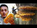 Nepal S Mad Honey That Causes Hallucinations They Climb To Go Insane