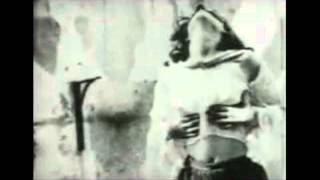 Death Diaries - Sterile Nails And Thunderbowels (Silencer cover)