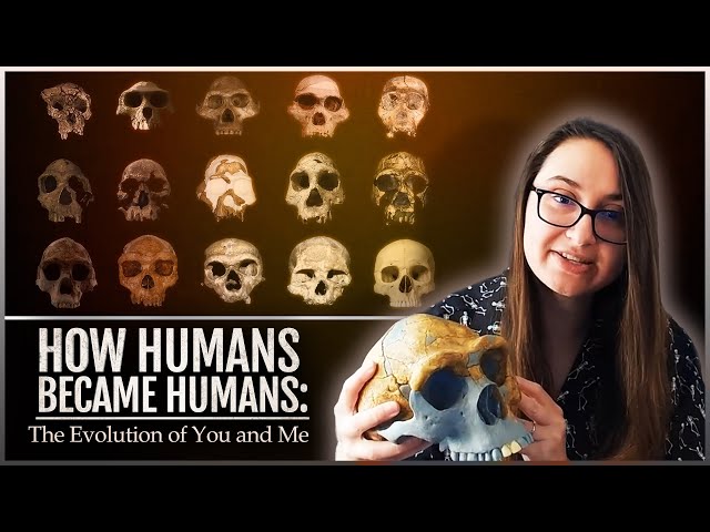 How Humans Became Humans: The Evolution of You and Me SDDEFAULT Thumbnail