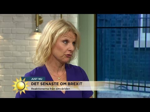 Brexit - "Storbritannien är ett djupt delat land" - Nyhetsmorgon (TV4)