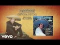 Vicente Fernández - Señora de Tal (Cover Audio)