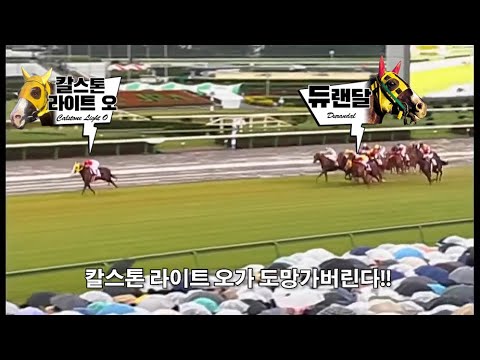 2004 스프린터즈 스테이크스 - 칼스톤 라이트 오 / 빛의 속도를 넘어서