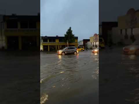 Making the best of a bad situation #Summer #nz #strom #rain #wet #aucklandflood #aucklandflooding