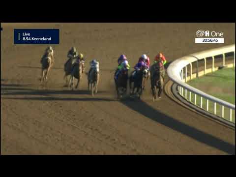 Breeders' Cup Distaff