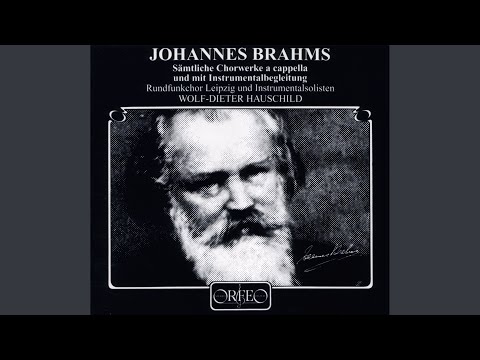 5 Gesänge, Op. 104: No. 1. Nachtwache I