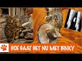 Binky is nog steeds niet helemaal genezen! | DierenpraatTV