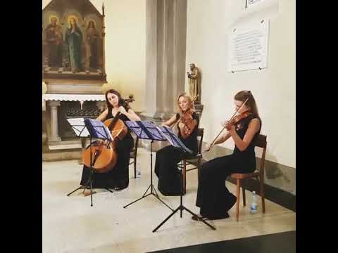 Hallelujah Cohen - String Trio in Florence