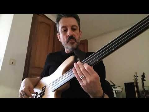 BASS COVER "Dalis Car" by Mick Karn (small error on the end of the riff, sorry)
