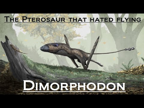 Prehistoric Breakdown: Dimorphodon