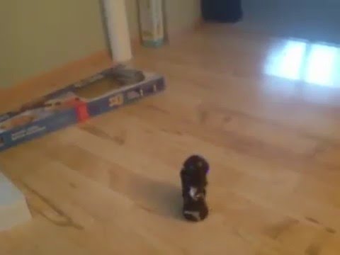 Playing with mips it is cool