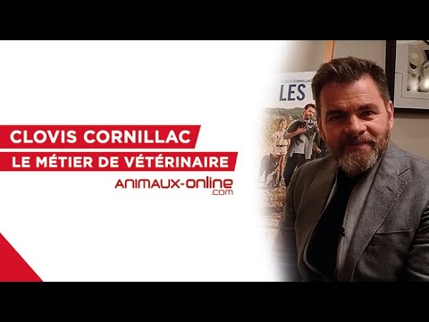 Immersion dans le métier de vétérinaire avec Clovis Cornillac