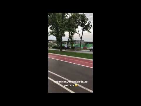 Эдвард Бил,  Литвин,  Сява.  Новое