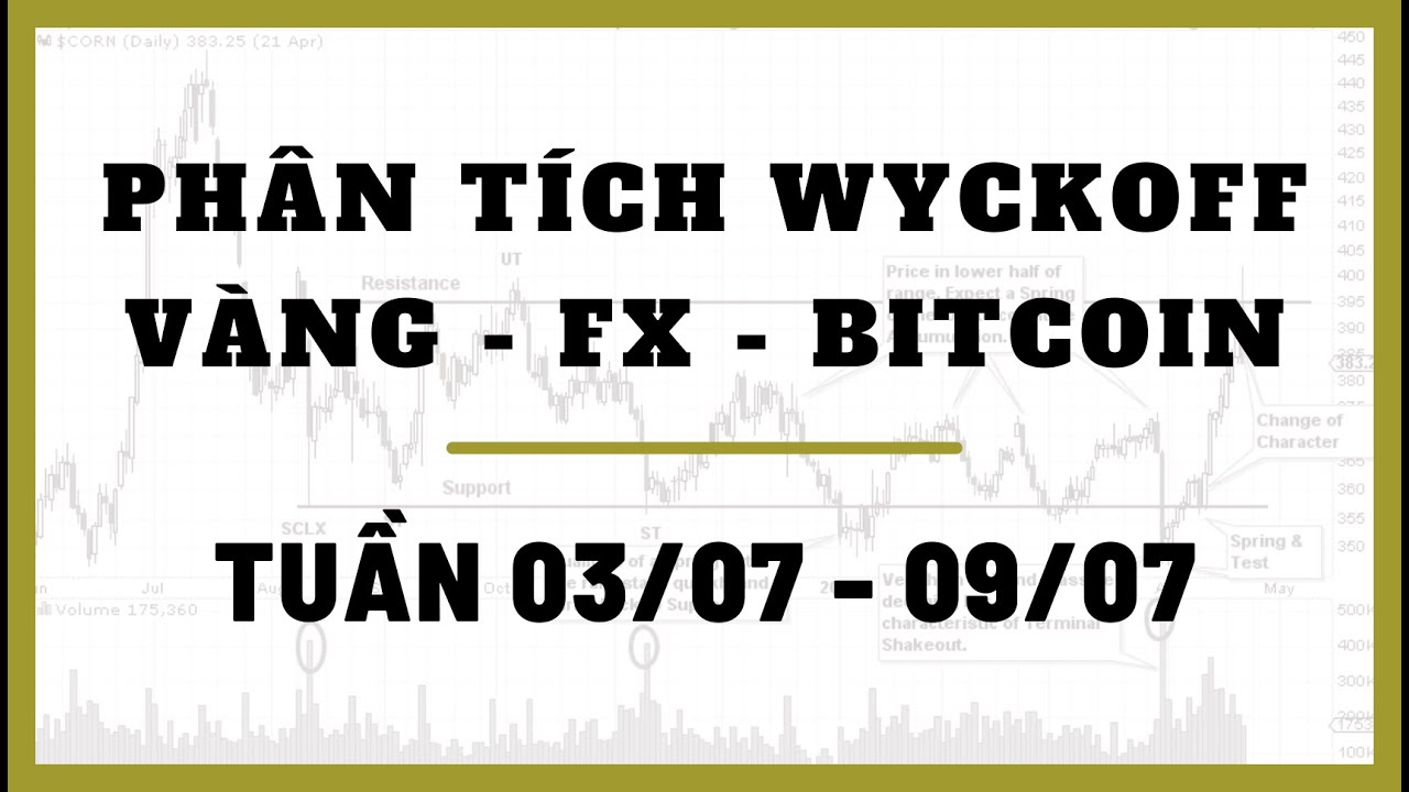 Phân Tích VÀNG-FOREX-BITCOIN Tuần 03-09/07 Theo Phương Pháp WYCKOFF