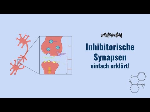 Inhibitorische Synapsen - GABA A & B Rezeptoren | Glycinrezeptoren | Funktion | Koma & Epilepsie