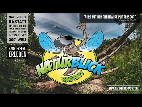 Naturblick Rastatt - Fahrt mit der Rheinfähre Plittersdorf