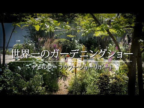 チェルシー フラワー ショー 2018 - ザ トレイルファインダーズ 南アフリカ ワイン エステート