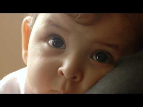 Didáctica sensorial | Trailer