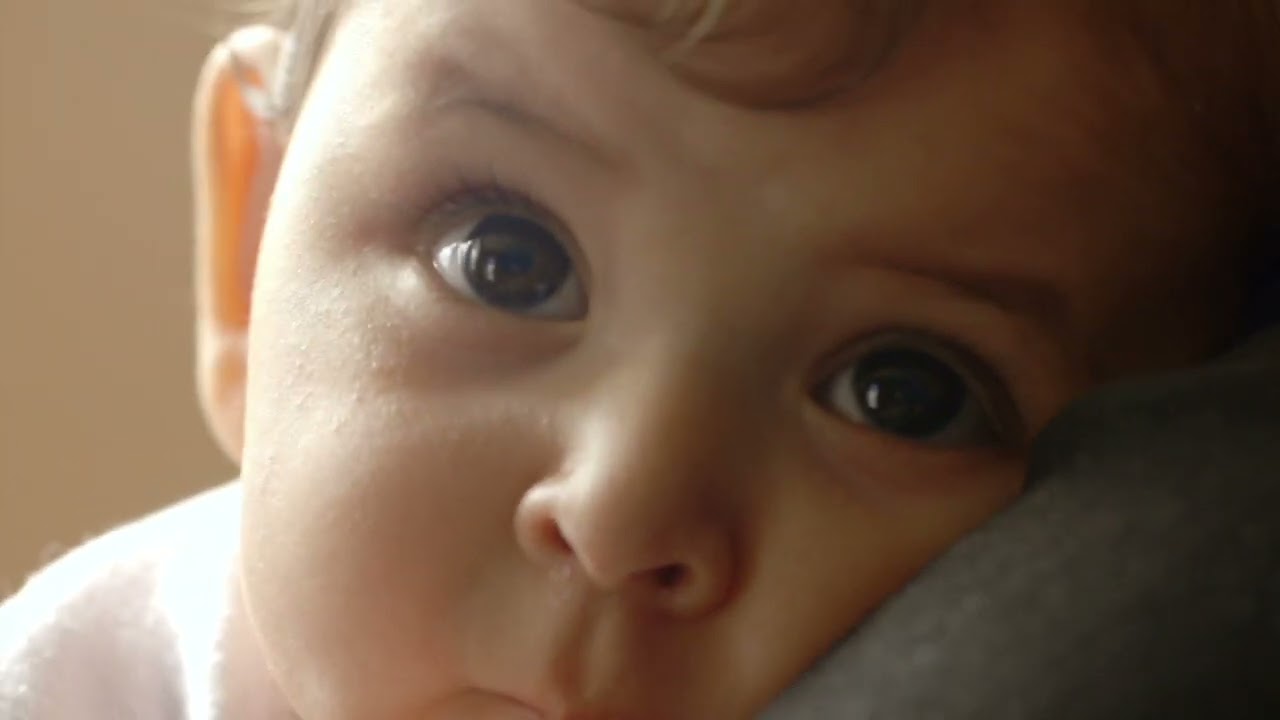 Didáctica sensorial | Trailer