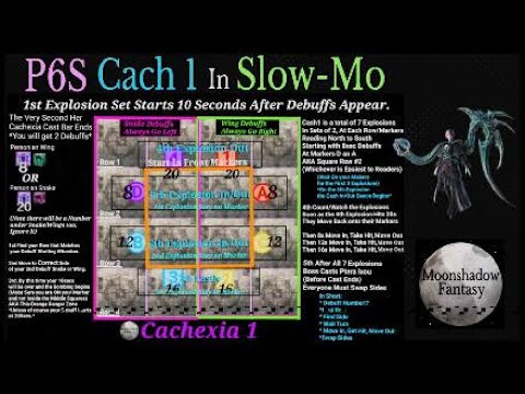 FFXIV: P6S Cachexia #1 Slow-Mo (Tips, Tricks, How to Guide)