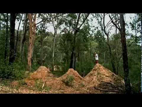 Metal Mulisha, Thomas Glew Bmx