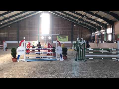 Carlos Santana 6 jähriger Caretino x Landmeister , kl L gesiegt und plaziert