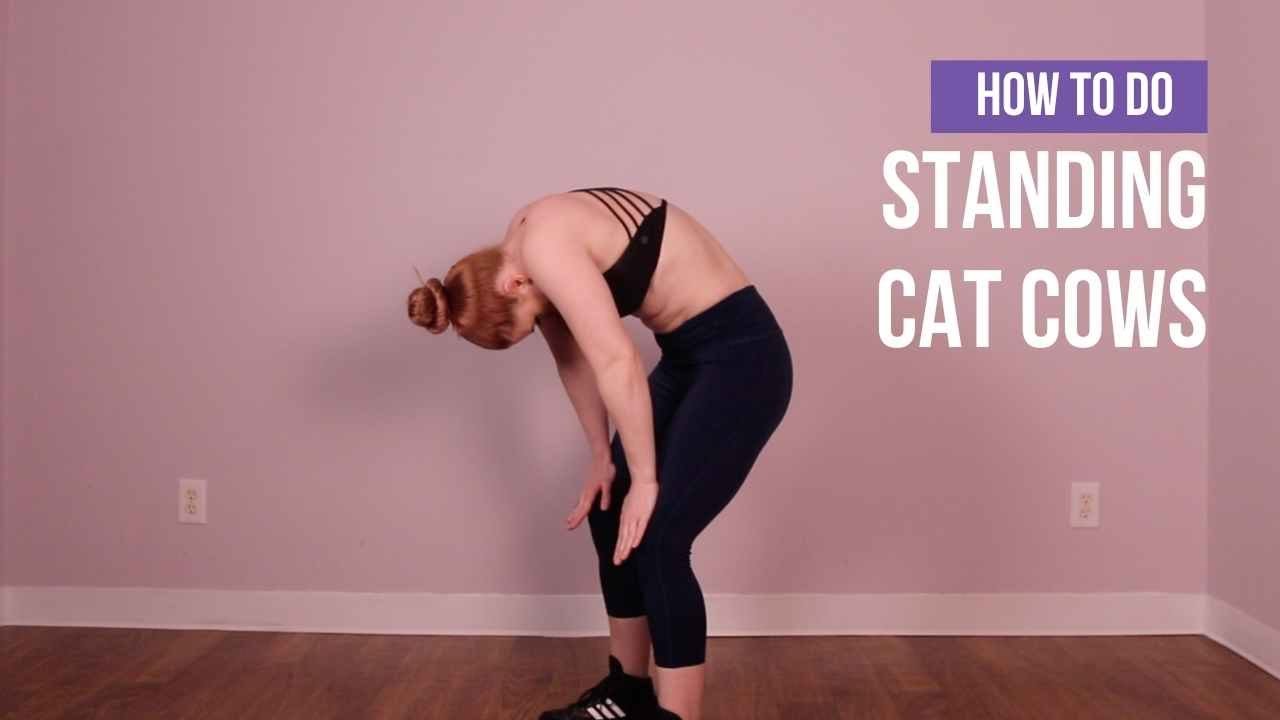 How to do the Standing Cat Cows - YouTube