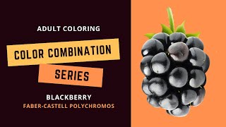 COLOR COMBINATION SERIES: BLACKBERRY - Faber-Castell polychromos - Adult coloring