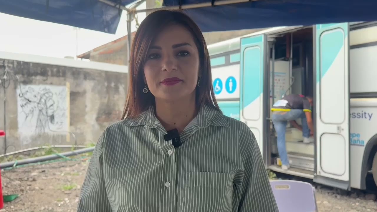 yariela quirós, vice
