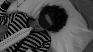 Stahlberger - Vögel (inoffiziell)