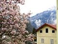 Spring in Austria - BB Весна прийде! 