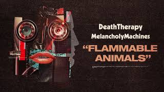 Flammable Animals Music Video