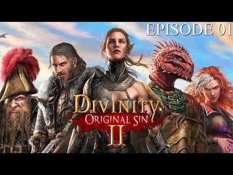 Divinity Original Sin 2: Sebille the Barefoot Assassin
