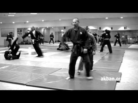 Horaku, Gyoko ryu kata for the Akban wiki