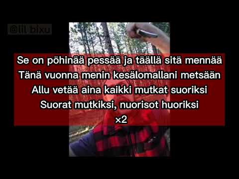 Puukko Allu - Pöhinää Pessään (lyrics)