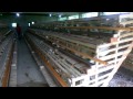 1000 Layers in New Cages