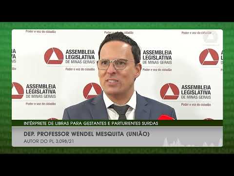 Intérprete de libras para gestantes surdas | FALA DEPUTADO
