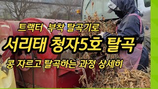 서리태 청자5호 트랙터에 부착하여 탈곡 수확 [콩재배방법]